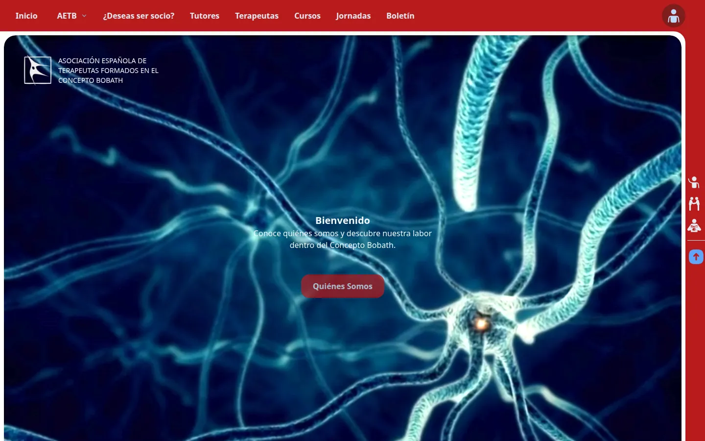 Captura de asociacionbobath.com
